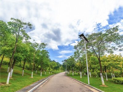 Bike Trails & Pathways